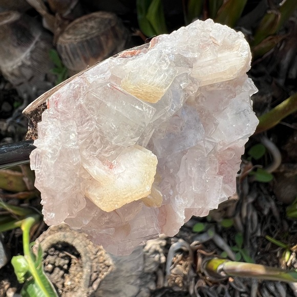 Quartz Crystal with Pink Amethyst and Calcite Inclusions - Picture 10 of 11